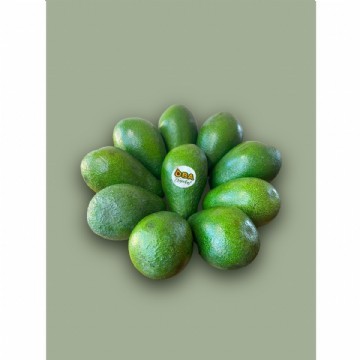 Avokado Küçük Boy 1 Kg