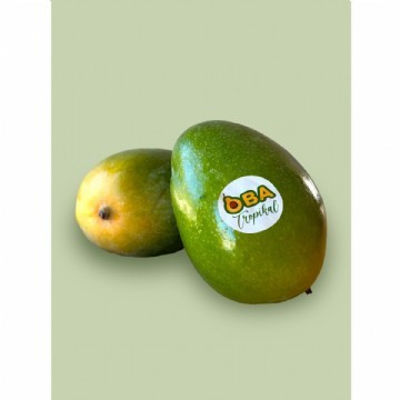 Mango İkili Paket